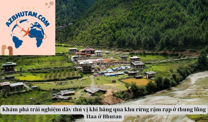 Khám phá trải nghiệm đầy thú vị khi băng qua khu rừng rậm rạp ở thung lũng Haa ở Bhutan