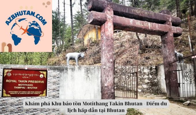 Khám phá Khu bảo tồn Motithang Takin Bhutan - Điểm du lịch hấp dẫn tại Bhutan